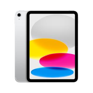 iPad - Wi-Fi + Cellular - 256GB - Silver