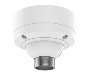 T91b51 Ceiling Mount