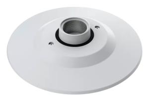 T94n01d Pendant Kit (01513-001)