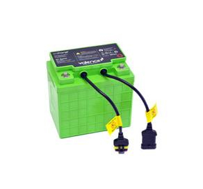 Battery 40ah 12v Dc Lithium Iron Phosphate (life)