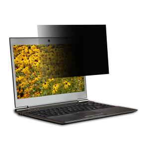 17.3in Security Filter 2-way Plug In For Wide 16:9