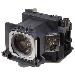 Replacement Lamp For Panasonic Pt-bx620 Pt-bx621c Pt-vw530 Pt-vw530n Pt-vw530u P