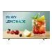 Business Tv - Be65fx-h - 65in - Uhd