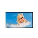 Digital Signage - 75xs4g - 75in - 3840 X 2160 (uhd)