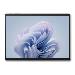 Surface Pro 10 - 13in Touchscreen - Core Ultra 7 165u - 64GB Ram - 1TB SSD - Win11 Pro - Platinum - Uk