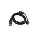 Wasp Replacement USB Cable Pocket Scan Wws100i USB Male To