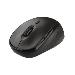 Tm-200 Wireless Mouse En