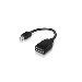 Mini-DisplayPort to DisplayPort adapter