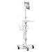 Cling Rise Freedm Rolling Kiosk All Tablets Stand White